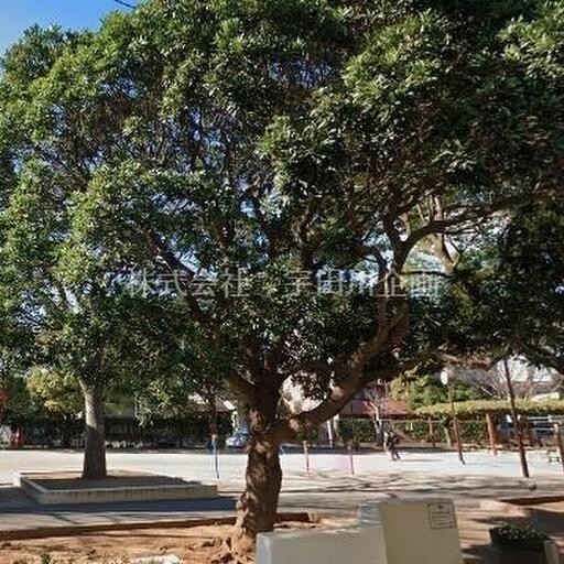 東葛西さくら公園 サン・シャトンまで120m 東葛西さくら公園 サン・シャトンまで120m