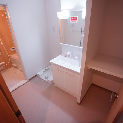 脱衣所&洗面台 白基調の空間です。猫用トイレを置くスペースもございます。